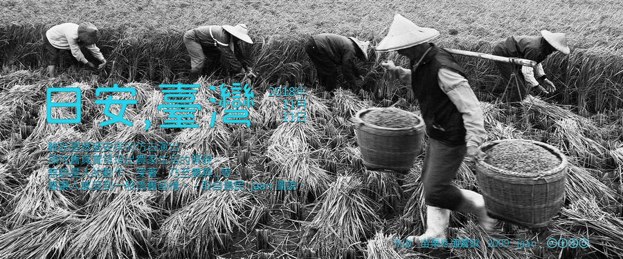 365 日安，臺灣之2018年11月11日